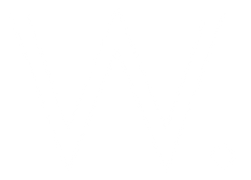 Wubs
