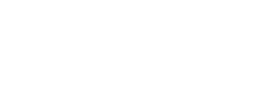 Shopify Partner